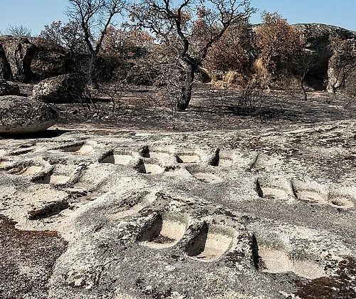 Explotaciones auríferas de Pino del Oro