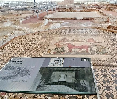Museo de las Villas Romanas de Almenara-Puras