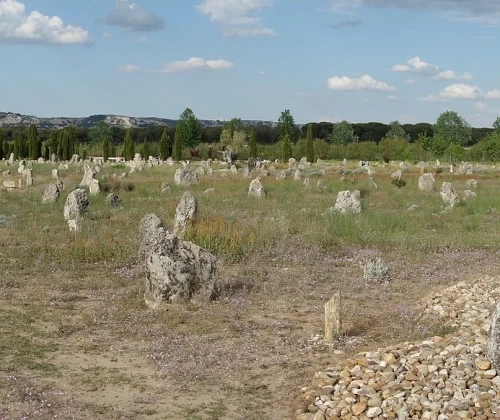 El conjunto arqueológico de Pintia y su aula arqueológica